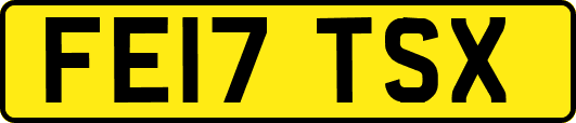 FE17TSX