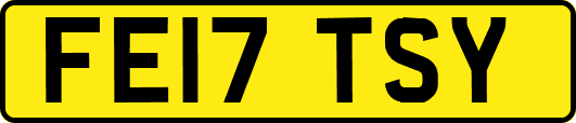 FE17TSY
