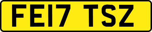 FE17TSZ