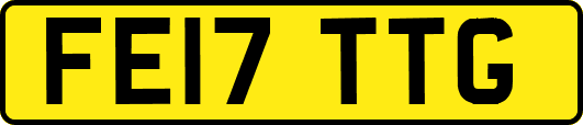 FE17TTG
