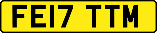 FE17TTM