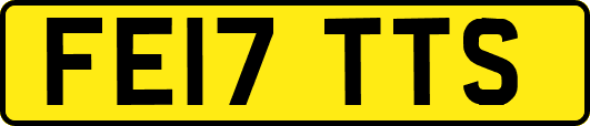 FE17TTS