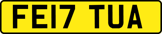 FE17TUA