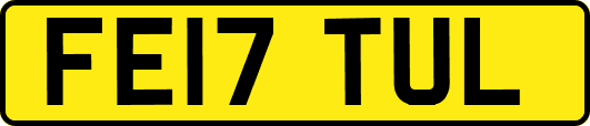 FE17TUL