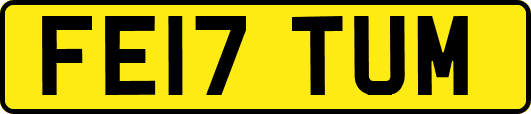FE17TUM