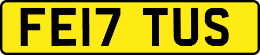 FE17TUS