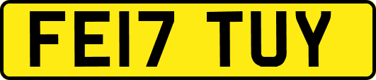 FE17TUY