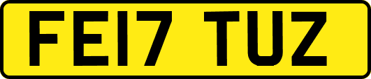 FE17TUZ