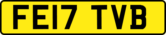 FE17TVB