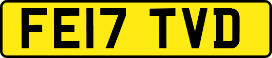 FE17TVD