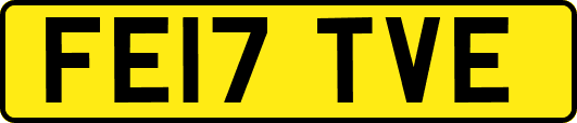 FE17TVE