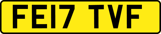 FE17TVF