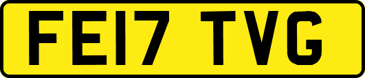 FE17TVG