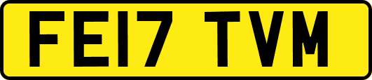 FE17TVM