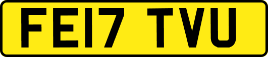 FE17TVU