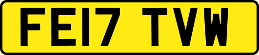 FE17TVW