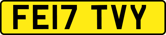 FE17TVY
