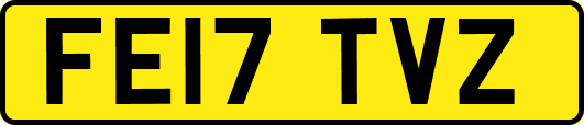 FE17TVZ