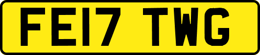 FE17TWG