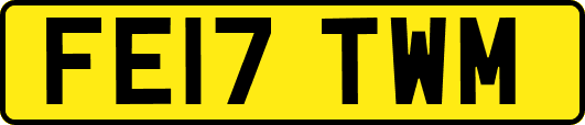FE17TWM