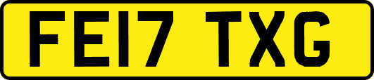 FE17TXG