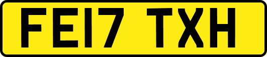 FE17TXH