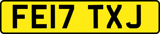 FE17TXJ