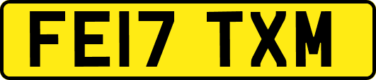 FE17TXM