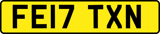 FE17TXN