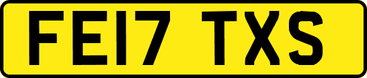 FE17TXS