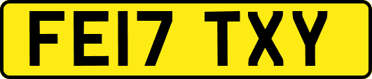 FE17TXY