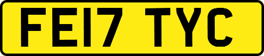FE17TYC