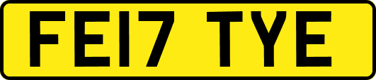 FE17TYE