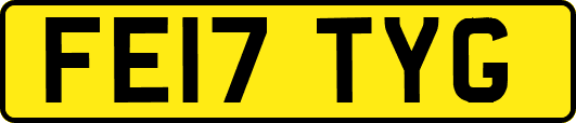FE17TYG
