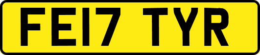 FE17TYR