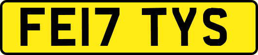 FE17TYS