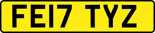 FE17TYZ