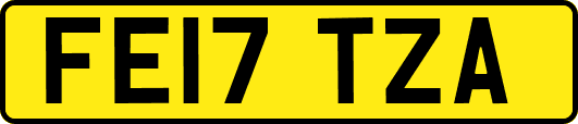 FE17TZA