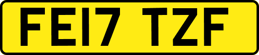 FE17TZF