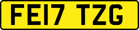 FE17TZG