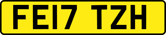 FE17TZH