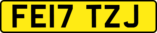 FE17TZJ