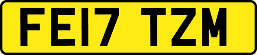 FE17TZM