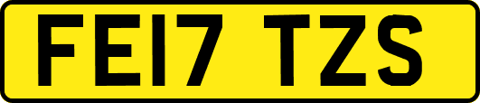 FE17TZS