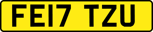 FE17TZU