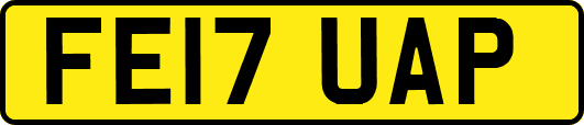 FE17UAP
