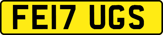 FE17UGS