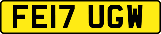 FE17UGW