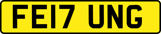 FE17UNG