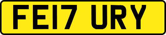 FE17URY